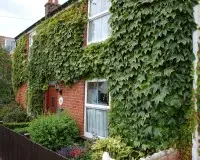 Marjorie cottage
