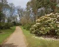 Sheringham park